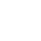 rivial integrated testing appliance - RITA