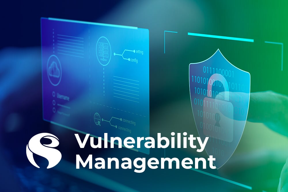 Vulnerability Management