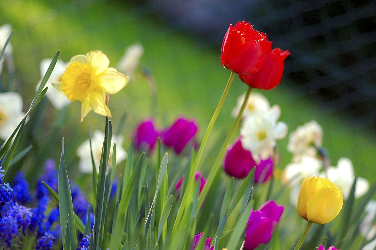 Happy Spring! Rivial Security's Favorite Blog Articles
