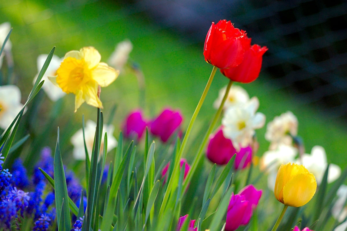 Happy Spring! Rivial Security's Favorite Blog Articles