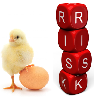 What Came First, the Chicken or the Risk Assessment?
